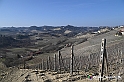 VBS_1240 - Santo Stefano Roero